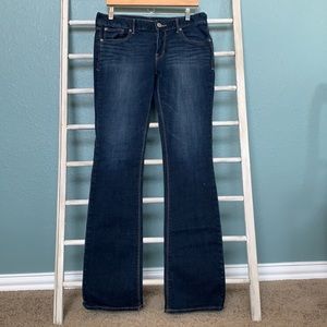 Express Dark Wash Low Rise Barely Bootcut 10L